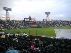 雨の中の甲子園野球観戦。　阪神VS横浜