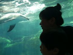 子連れで行く大阪「海遊館」&北極星オムライスランチ＆沖縄料理