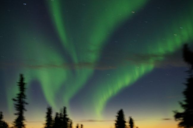 　　さてオーロラの撮影！！！の旅です（アラスカでオーロラ撮影　序章もご覧下さい）<br />　まずこの旅は、J社の「チャーター直行便で行く旅」で、かなりの人数でしたのでオプションによって数組に分かれて観光です。（僕達は３５人のメンバーでスタート）<br /><br />　でも遺跡も繁華街も免税店も無しの地の果ての様な所(でも１０万都市位の整備された町です）ですので、参加者は殆んど「リタイヤ」されて悠々自適の方々が多く、良かった観光地は？に「マチュピチュ」・行ってみたい所は？に「南アフリカ」が多い位の、すでに２０回以上の海外旅行経験者ばかりです。（年齢層は６０歳以上が80％、男女比は女性が70％女性の一人旅も結構みえます）<br /><br />　　旅行５日目と６日目のP.M.11：00〜A.M.2：00までがオーロラ観賞タイムです。<br />　場所は、フェアバンクスから４０分程の　５日目がスキーロッジ　６日目が日本人経営のログハウスでした<br /><br />　オーロラが見えるかどうかは「神頼み」の天候次第です<br /><br />　折角　これからオーロラを見に行く方にはこれだけはお伝えしたい！！！！<br />　<br />　「一眼レフのデジタルカメラと三脚をご持参ください」（荷物がかさ張ると思っても）<br />　　　<br />理由は：<br />コンパクトデジカメではシャッタースピード等の調整が難しく殆んどの方が残念な結果です<br />　　　　　　　<br />出始めのオーロラは雲が流れているようにしか見えませんが、一眼レフの液晶画面には何故か薄緑色のオーロラが映っていました。<br />　　　　　　　<br />「俄か写真小僧」には出来栄えが確認したいのでデジカメが必要！<br />　<br /><br />さて５日目　<br />　夕食をハリバット（大ヒラメ）ですませ　11：00には現地に到着、サービスのコーヒーで体を温めて準備万端。そこに「オーロラが出たよ〜」と女性の声、全員見晴らしのいい場所に殺到。「でもどれ？」殆んど微かに雲が流れてる感じ、この日のために新調したデジタル一眼レフで画面をのぞくと「淡い緑のオーロラ」が見えました。ここからは１時間半程次々変化してくれ、不慣れなカメラで何枚も撮影！（注意　懐中電気の明かりでも撮影には支障あり、怒られます）仕舞いには贅沢にもも〜満腹状態、１日の観賞で大満足でした。<br /><br />　６日目<br />　夕食は「わらじ」サイズのステーキで体力準備、今日は見れなくてもいいや状態の肌寒さ。（でも多分5〜6℃くらい）11：00にログハウスに着くと同時に昨日より鮮明に「オーロラ」出現、風でたなびくカーテンの様なものから「淡いピンク」の混ざったものまで、女性達の「すご〜い・綺麗」など次々称賛のお言葉が飛び交っていました（声はいくら出しても迷惑になりません）。このロッジの若主人は、オーロラをバックにゲストの写真を次々撮影。これをテレビの画面で再生してくれます、やはりプロですね　これがすごく綺麗に映っている。でも自分の目で見たオーロラを、写真で再現することは不可能と感じました。「それほどオーロラには感激！　自然て凄い！」今日も見れて良かった〜<br /><br /><br />　旅は「お金と時間（タイミング）、そして自分の中の優先順位」で行く先が決まると思うけれど、次の旅が楽しみになる様な旅行になりました。　妻は、「次は　イエローナイフで見てみたいね！」と言ってくれる程満足してくれたようです。