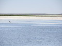 内蒙古夏旅07★中国で5番目に大きい淡水湖「呼倫湖」へ