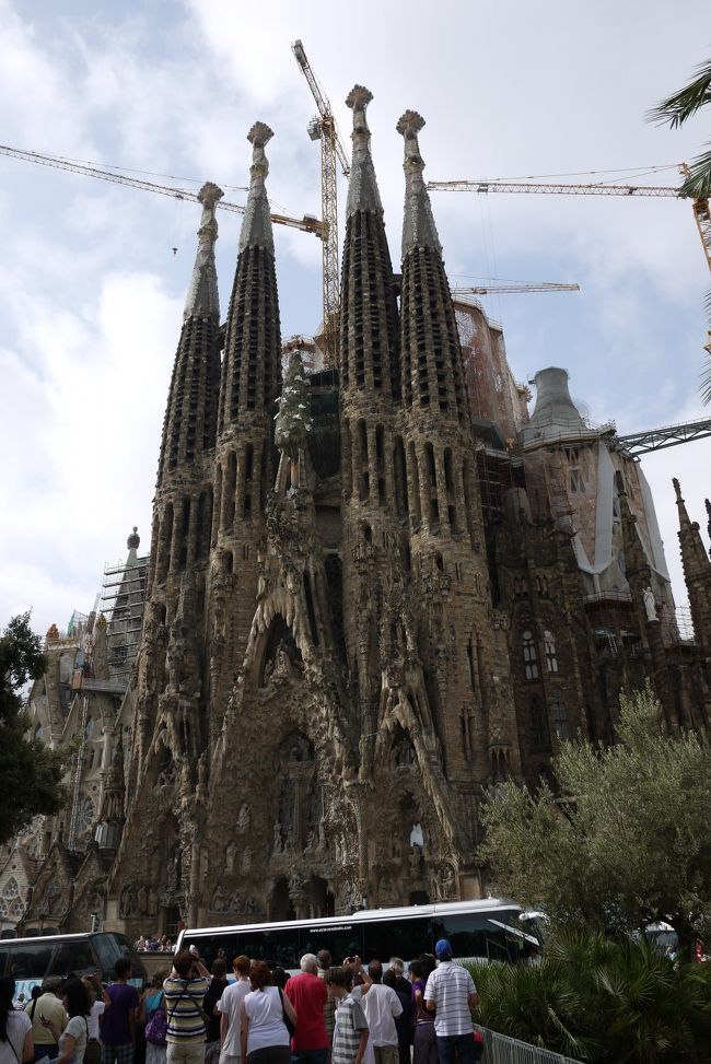 9月2日 スペインの最終日は、サグラダ・ファミリア聖堂とグエル公園。<br />世界中から団体さんが来ていました。<br /><br />↑公園から撮った、サグラダ・ファミリア。<br />中央に十字架を頂くキリストの塔(170m)、それを囲んで福音書を書いた4大使徒を表す4本、その後ろにマリアの塔、12使徒を表す12本(生誕・受難・栄光の3つのファサードに各4本)、計18本の塔が立つ予定です。<br />現在完成しているのは、12使徒の塔のうちの8本(98~120m)だけです。<br /><br />スペインは、キューバのサトウキビ農場でプランテーション経営など植民地活動で大儲けをして、スペインに戻って投資をするバブルの時代でした。<br />産業革命で繁栄したバルセロナでモデルニスモ建築が流行する中、<br />サグラダ・ファミリアは、1882年(明治15年)に建築が開始され、<br />その翌年ガウディ31歳が新進気鋭の建築家として建築監督を引き継ぎました。<br />しかし1882年パリで株価大暴落、バルセロナで経済破綻が起きます。<br />1926年(昭和元年)73歳で亡くなるまでガウディはこの建設に携わりました。<br />