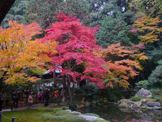 関西に来て3年、まだ京都で本格的な紅葉を見たことがない。<br />ということで友達と南禅寺に行ってみました。<br /><br />