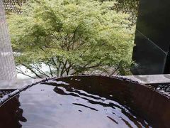 箱根 ひめしゃらから南部町 船山温泉へ 前編 仙石原 神奈川県 の旅行記 ブログ By 敏じぃさん フォートラベル