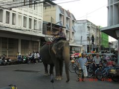 2010年　ミャンマー＆タイの旅・3　スリン