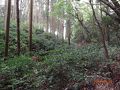 塩江・三木の旅行記