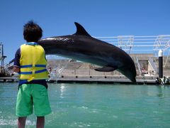 ２８．２０１１年夏休み８泊９日の国内旅行　もとぶ元気村　ドルフィンスクール