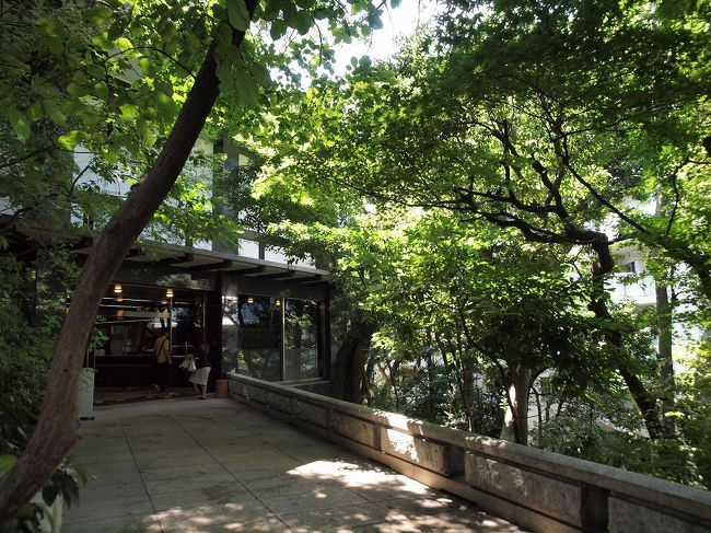明時代の素晴しい陶器は展示されて聞いて<br /><br /> 暑い日ざしを浴びて行きました。<br /><br />記念館 内部は撮影禁止 庭を写して来ましたが。。<br /><br /> お隣の 般若苑は すでになく マンション工事で、、<br /><br /> 近所の皆さんの反対のビラがきになりました。<br /><br />畠山記念館HP<br />http://www.ebara.co.jp/csr/hatakeyama/<br /><br />白金台の街並を畠山美術館へ行く<br />http://4travel.jp/traveler/jiiji/album/10603810/<br /><br />公益法人 畠山記念館<br />東京都港区白金台二丁目二十番十二<br /><br /><br />