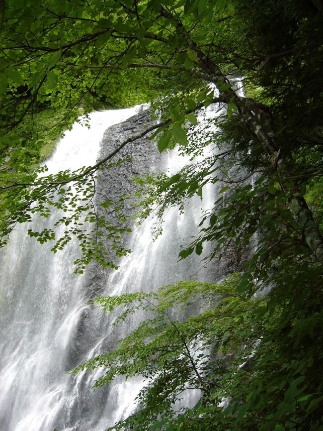 岐阜県高山市丹生川町に「乗鞍山麓五色ヶ原」の入り口があります。（高山市から車で約５０分、集合場所は鍾乳洞口です）<br /><br />そこからインタープリター（自然通訳ガイド）に「森のお母さんブナの木」「木の実と動物」などなど、気の遠くなるほど長い森の物語を楽しく分かり易い話を聞きながら、朝の７時から３時まで約１０ｋｍ<br />山道を散策します。<br />途中、山あり・谷あり・湧水あり・滝あり！妖精が現れそうな「映画、もののけ姫」の世界を体験できます。<br /><br />おひとり８千円と少し高いですが、自然の森の中で心も体もリフレッシュできます。<br />散策コースは「カモシカコース」と「シラビソコース」の２コースありますが、初めての方は「シラビソコース」がおすすめです。<br />申込みはhttp://www.hida.jp/goshiki/のサイトをチェック！<br /><br /><br />