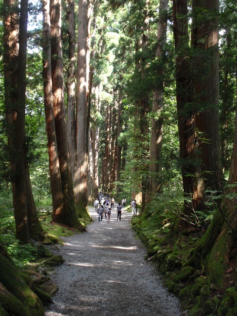 信州のパワースポット戸隠神社奥社を参拝 パワーｇｅｔ出来たーーー 戸隠 鬼無里 長野県 の旅行記 ブログ By ムッシュさん フォートラベル