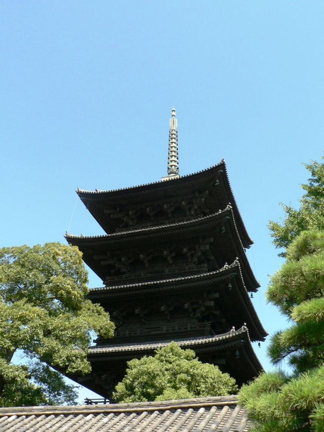 東寺（とうじ）は、東寺真言宗総本山の寺院で「教王護国寺」（きょうおうごこくじ）とも呼ばれる。<br />東寺は平安京鎮護のための寺院として嵯峨天皇より空海（弘法大師）に下賜され真言密教の根本道場として栄えた。東寺は弘法大師すなわち「お大師様の寺」として庶民の信仰を集め１９９４年に「古都京都の文化財」として世界遺産に登録されている。<br />８世紀末、平安京の左京と右京を守る王城鎮護の寺として平安京の正門にあたる羅城門の東西に「東寺」と「西寺」（さいじ）の建立が計画され７９６年に藤原伊勢人が造寺長官として建立し、８２３年に嵯峨天皇から弘法大師空海に下賜されたと伝わっている。<br />伽藍配置は奈良時代の寺院建築形式で、南大門・金堂（国宝）・講堂・食堂(じきどう)・北大門が 南北に一直線に並んでいて、東に５４．８メートルで日本一の高さを誇る五重塔（国宝）、西には潅頂院、西院の御影堂（国宝）、大日堂などの諸堂がある。<br />（写真は東寺）<br />