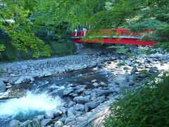 緑溢れる中伊豆縦断小旅行【２】～修善寺温泉そぞろ歩き～