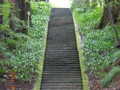 別所温泉　お寺を廻る旅