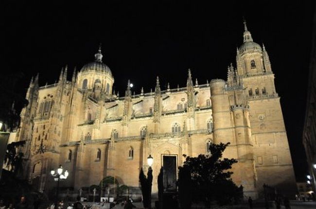 サラマンカは今まで訪れたスペインの街で一番美しいと思います。　夜になると旧市街全体がライトアップされて、幻想的な美しさを披露してくれます。　大学の町なので、若い人たちや観光客が夜遅くまで、その美しさを求めて町を散策しています。　この雰囲気はとても良い。　