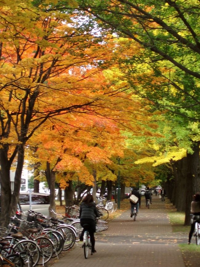 彩りの街歩き　2009&2010 札幌