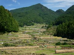 四谷の千枚田