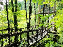 まぼろしになりかけた・・初ミニオフ会②「剣山下山後，奧祖谷かずら橋へ・・」