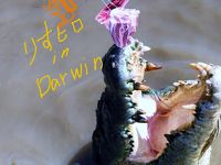 Hugs and kisses in Darwin;Ritchifileld.編：Goanna Eco Tours