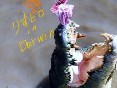 Hugs and kisses in Darwin;Ritchifileld.編：Goanna Eco Tours