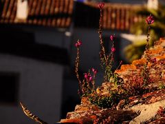 谷間の真珠　～オビドス