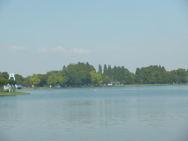 東京都唯一の水郷公園である処の <br />「水元公園」には珍しい木々も多い。<br />6月は菖蒲祭りも開催。<br /><br />桜の季節は、公園周囲の道が桜並木と成ります。