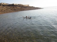 死海の東側（ヨルダン）とマダバ、ネポ山