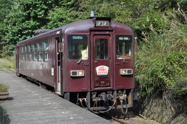 　2011年9月27日、久しぶりに日帰り鉄道旅行しました。<br />　行き先は、群馬・栃木県にまたがるわたらせ渓谷鐵道、旧国鉄足尾線が第3セクター化されたのが1989年3月、その直後に訪れましたが、それから22年余りご無沙汰でした。<br />　また、この路線は、鉄道紀行作家の故宮脇俊三さんが国鉄全線完乗を果たした路線でもあります。1977年5月、宮脇さんが50歳の時でした。<br />　私もその歳になってしまい、50歳代最初の鉄道旅行はここだって、心に決めて出かけてきたのでした。(笑)<br />