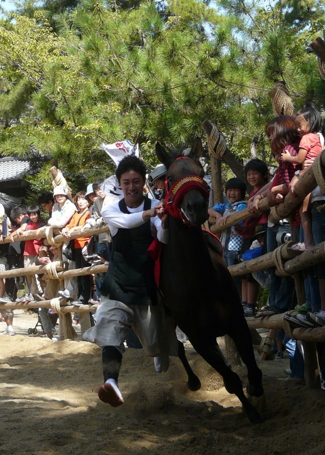 愛知県西三河地域と東知多地域に伝わる『おまんと祭』は水不足に困った地域の人達が水を求めて始められた雨乞いを祈願した祭です。<br />現在は５０年前に敷設された岐阜県から取水して知多地域に使う水のために建設された愛知用水のおかげで困る事はなくなり名古屋の生鮮食材の供給基地に成っています。<br />愛知用水の建設には私財を投じたり建設に尽力された方々の賜物が知多半島に多くの人達の生活が一変したと言われています。<br /><br />東浦町内<br />平成23年10月9日（日）　入海神社(緒川)<br /><br />平成23年10月9日（日）　藤江神社(藤江)<br /><br />その他も近くの地域で１０月末まで行われています。