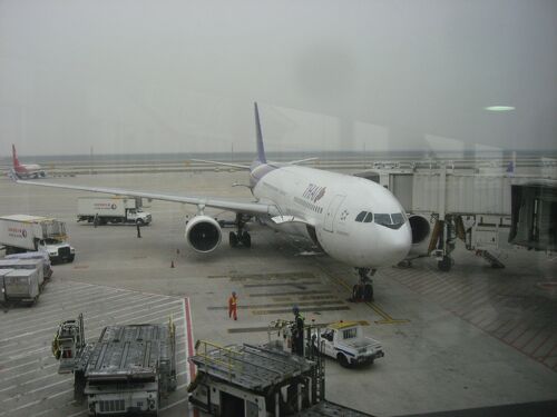 タイ国際航空マウス 11796 Phoenix Thai Airways / タイ国際航空 Star Alliance A380