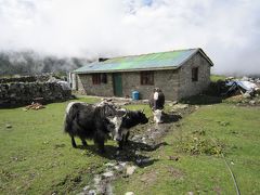 ネパール旅行記②　～雨季のランタン谷トレッキング～