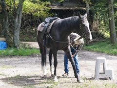 初秋の信州～エクシブ蓼科 その③観光　蓼科乗馬ファームと白骨温泉