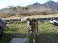 防府の旅行記