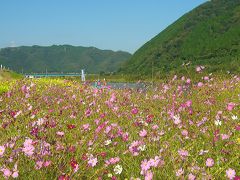 晴れの国　岡山（秋のイベント／おかやまＢ級ご当地グルメフェスタ　ｉｎ　真庭　被災地と共に・・・）