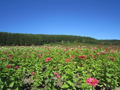 北海道の秋***層雲峡温泉へ②　≪太陽の丘えんがる公園＆丸瀬布森林公園いこいの森≫そして≪山彦の滝≫