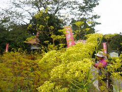 長瀞・秋の七草寺めぐり・・・⑥女郎花の真性寺