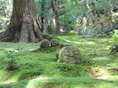 行ってみたかった京都「下鴨・貴船」一泊旅行♪