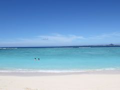 day2 ビーチに森カフェ・本部めぐり [11' 0歳の赤ちゃんと行く沖縄本島]