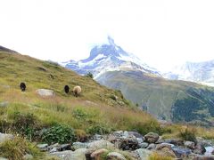 大自然スイス　憧れのアルプスハイク！2010　Vol.2　ゴルナーグラート展望台へ