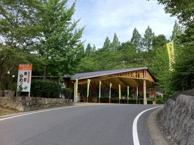 大学同期からの声掛けで、岡山北部にある津山近辺と山を越えて鳥取砂丘に行ってきた一泊二日の旅行記です。どちらかと言うと食べ物中心のツアーです。<br /><br />【Link】<br />・STICK SWEETS FACTORY：http://sticksweets.jp/index.html<br />・イナバ化粧品店：http://www.momotown.net/beauty_health/inaba/inakesyo/index.html<br />・食堂かめっち。：http://www.town.misaki.okayama.jp/kankou/tamago/<br />・道の駅 久米の里：http://www.michinoeki-kumenosato.com/