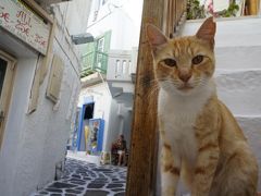 幸せな顔がいっぱいのギリシャ・(￣∀￣)・③午後ミコノス島からサントリーニ島に高速艇で移動する編