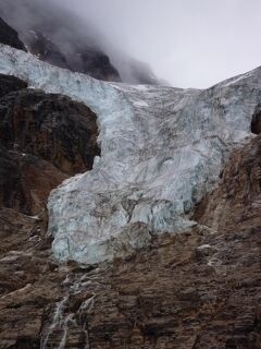 エンジェル氷河とパスオブザグレーシャートレイル　～2008年7月　カナディアンロッキー旅行記　その13～