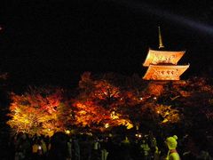 2009年秋　京都奈良・紅葉の旅　①東山・祇園・清水寺周辺