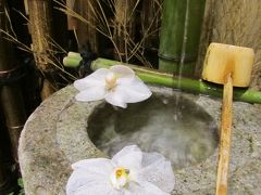 2011年長月　京都嵐山【花伝抄】楽しみなお食事と、もっと楽しみなお風呂～色々探検♪