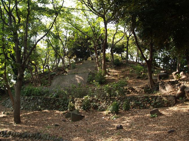 芝増上寺の西側にある芝東照宮の裏山は古墳である。丸山古墳と呼ばれるが円墳ではなく、前方後円墳である。築造は5世紀中頃過ぎとみられるが、4世紀後半に早める説もある。墳丘長125メートル(案内板では106メートル前後)、前方部前端幅約40メートル、後円部直径約64メートル。くびれ部幅約22メートルの都内最大か、最大級の前方後円墳である。自然の山を利用して築造されており、古代には浜辺に近い小高い丘であったらしく、前方部の墳丘下の平地には「丸山貝塚」の標識が立っている。後円部の墳丘は江戸時代に掘削されて平坦にされたようだ。いまでは広い円形広場となっている。 この周辺にはかっては11基の円墳もあった古墳群とされ、昭和33年(1958年)に周辺が大規模開発され、東京タワーなどが建つまでは、まだ数基が残存していたという。今はこの「芝丸山古墳」と、すぐ近くの港区三田にある「亀塚古墳」が残るのみである。 上野の山も古墳群があり、ここ芝にも古墳群があったとされ、家康が江戸に入府した頃には、まだ、古墳であることが認識されていたのだろう。江戸初期に大々的に開発され、増上寺の伽藍や寛永寺の伽藍が建てられたのだろう。(表紙写真は芝丸子古墳後円部墳丘)