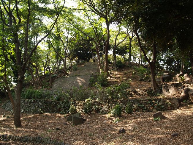 　芝増上寺の西側にある芝東照宮の裏山は古墳である。丸山古墳と呼ばれるが円墳ではなく、前方後円墳である。築造は5世紀中頃過ぎとみられるが、4世紀後半に早める説もある。墳丘長125メートル（案内板では106メートル前後）、前方部前端幅約40メートル、後円部直径約64メートル。くびれ部幅約22メートルの都内最大か、最大級の前方後円墳である。自然の山を利用して築造されており、古代には浜辺に近い小高い丘であったらしく、前方部の墳丘下の平地には「丸山貝塚」の標識が立っている。後円部の墳丘は江戸時代に掘削されて平坦にされたようだ。いまでは広い円形広場となっている。<br />　この周辺にはかっては11基の円墳もあった古墳群とされ、昭和33年（1958年）に周辺が大規模開発され、東京タワーなどが建つまでは、まだ数基が残存していたという。今はこの「芝丸山古墳」と、すぐ近くの港区三田にある「亀塚古墳」が残るのみである。<br />　上野の山も古墳群があり、ここ芝にも古墳群があったとされ、家康が江戸に入府した頃には、まだ、古墳であることが認識されていたのだろう。江戸初期に大々的に開発され、増上寺の伽藍や寛永寺の伽藍が建てられたのだろう。<br />（表紙写真は芝丸子古墳後円部墳丘）