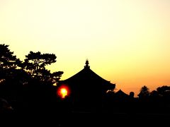 奈良旅☆奈良町編(興福寺、ならまち界隈のお散歩で奈良のよさを知る）