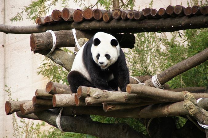 台北市立動物園