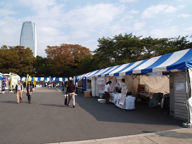 　9時前にはと増上寺に向かうと、芝公園内には白や青のテントが並び、みなと区民まつりの準備に忙しそうだ。増上寺の境内にもテントが並んでいる。また、増上寺の本堂前にも椅子が並べられ、スピーカなどの音響機器の点検に余念がない。昨日今日は徳川家霊廟（徳川将軍家墓所）の特別公開（無料）も行われる。NHK大河ドラマの主人公である「江」も二代将軍秀忠公の墓に合祀されており、放送が終了した後の平成24年（2012年）1月31日までは徳川家霊廟（徳川将軍家墓所）が一般公開されるが、みなと区民まつりの間の2日だけは入場料の500円が無料となる。しかし、開園時間は1時間繰り下がっていた。<br />　東京プリンスホテルでも、2011年11月27日まで「お江フェア」が行われているようだ。<br />　芝東照宮方面にも会場が伸び、テントが並んでいる。ざっと見回した感じではテントの数は100を越えるであろう。三門公開で並んでいた後の人は弘前から上京して見学しようとしていたのだが、弘前では、テントが5つも並べが大賑わいだと言っている。5つではどうかと思うが桜まつり中の弘前城でもテントの数は30余りであろうか。<br />　一番人気のブースは起震車だ。大人は周りを囲んで見ているだけだが、子供たちは震度7の地震の揺れを体験したがっている。ヘルメットを被って椅子の下に潜り込んで椅子の足にしがみついて必死だ。次は自衛隊のブースで子供たちが制服を着て記念撮影している。<br />　盲導犬と救助犬（捜査犬）が何匹もいたが、3歳の盲導犬は大人しく、とても賢いのだという。喉のあたりを撫でてみたが、本当に大人しく驚いてしまった。盲導犬は血統もあり、どの種類の犬でもなれるという訳ではないそうだが、救助犬（捜査犬）にはペットとして飼われる種類の犬もいた。街や川沿いの小道で出合う散歩をしている犬とは大違いだ。しかし、訓練すれば盲導犬は無理でも救助犬（捜査犬）にはなれるのかも知れない。そう考えると訓練や人間では教育が大切であることが改めて思った。<br />　港区は禁煙の規制が厳しいのだそうだ。これだけのテントが並ぶみなと区民まつり会場にも喫煙場所は設定されていないという。緑のヤッケを着た出店側の人、二人が丸山古墳の登り口で一服していた。黄色のTシャツを着た区の担当者たちは増上寺側に喫煙所があるからそちらに行って吸うという。しかし、出店者側には喫煙所も徹底されておらず、また、来場者には喫煙所が設置されていないのは何かおかしい気がする。あるいは何年か経った未来には喫煙所の設置が不要となっているのであろうか。<br />（表紙写真は増上寺境内に建ち並ぶテント）