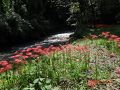 続・高仙山　虹の滝～熊野神社の二本杉