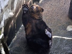 北海道3泊4日レンタカーの旅①のぼりべつクマ牧場編