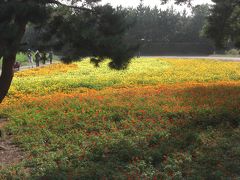 海も見える広大な公園